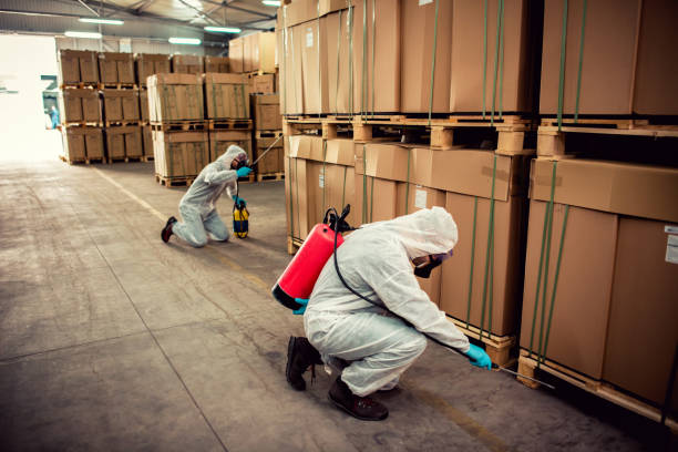 Best Cockroach Control Services  in North Vernon, IN