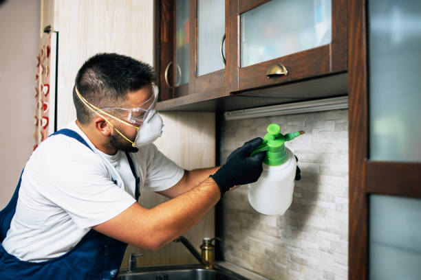 Best Pest Control Near Me in North Vernon, IN