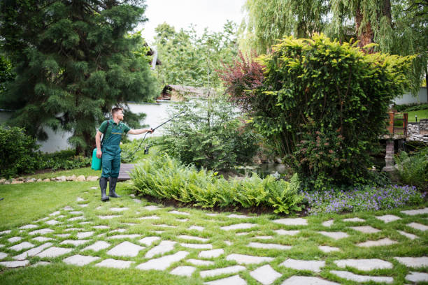 Trusted North Vernon, IN Pest Control Experts