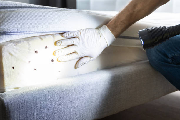 Best Best Pest Control Companies  in North Vernon, IN