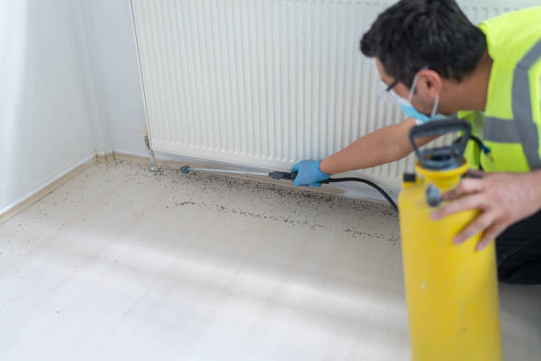 Best Pest Control for Homes  in North Vernon, IN